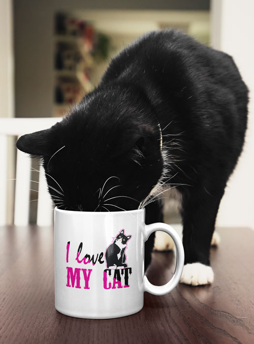 Cats-Anonymous-I-Love-My-Cat-Mug