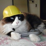 Cats-Anonymous-Maintenance-Construction-Help-001